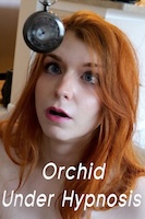 Orchid Under Hypnosis
